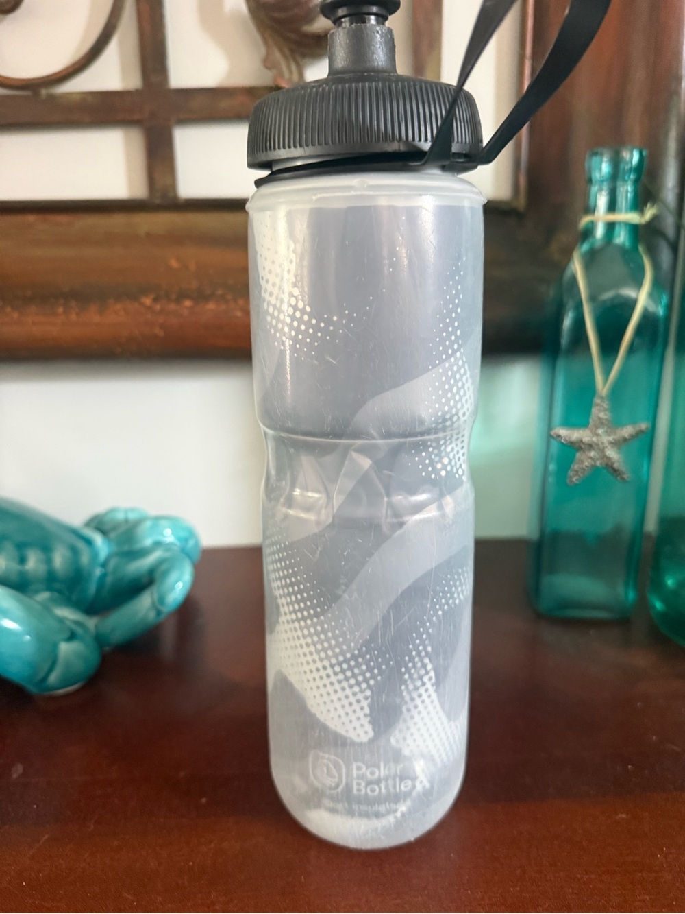 Polar Water Gray Insulated Sports Water Bottle with Black Cap 24 oz.
